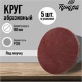 Круг абразивный шлифовальный под "липучку" ТУНДРА, 180 мм, Р120, 5 шт. 9422576 - фото 17157089