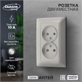 Розетка двухместная Luazon Lighting "Антей", 10 А, скрытая, без з/к, серебристая 9925775 - фото 17166062
