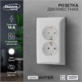 Розетка двухместная Luazon Lighting "Антей", 16 А, скрытая, с з/к, белая 9925777 - фото 17166066