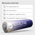 Батарейка алкалиновая Windigo, AAA, LR03, блистер, 2 шт 9780937 - фото 17171384