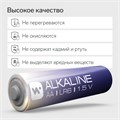 Батарейка алкалиновая Windigo, AA, LR6, блистер, 2 шт 9780938 - фото 17171390
