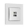 Розетка с USB-A + USB-C разъёмами, 2.1 A, 5В, TOT Matte Glass, скрытая, стекло, серебристая   104396 10439695 - фото 17180535 Розетка с USB-A + USB-C разъёмами, 2.1 A, 5В, TOT Matte Glass, скрытая, стекло, серебристая   104396 10439695 - фото 17180535