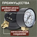 Манометр ZEIN, радиальный, диаметр корпуса 50 мм, 16 бар, 1/4" 10450871 - фото 17184757