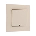 Выключатель TOT Elegant, 10 А, 1 кл., с подсветкой, скрытый, бежевый 10439583 - фото 17184827